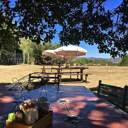 Shepherd'S Tree Backpackers Knysna Exterior foto