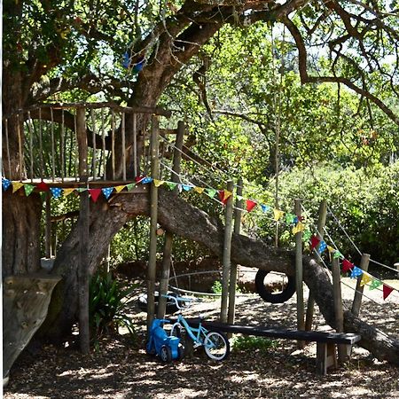 Shepherd'S Tree Backpackers Knysna Exterior foto