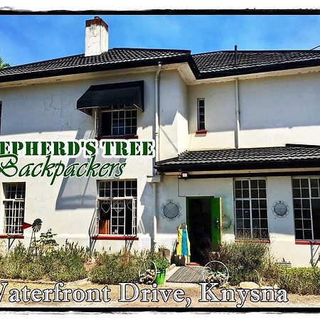 Shepherd'S Tree Backpackers Knysna Exterior foto