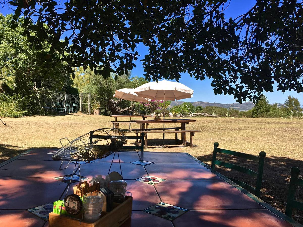 Shepherd'S Tree Backpackers Knysna Exterior foto