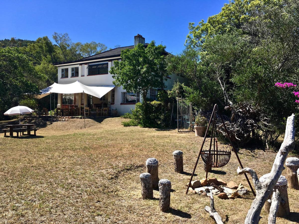 Shepherd'S Tree Backpackers Knysna Exterior foto