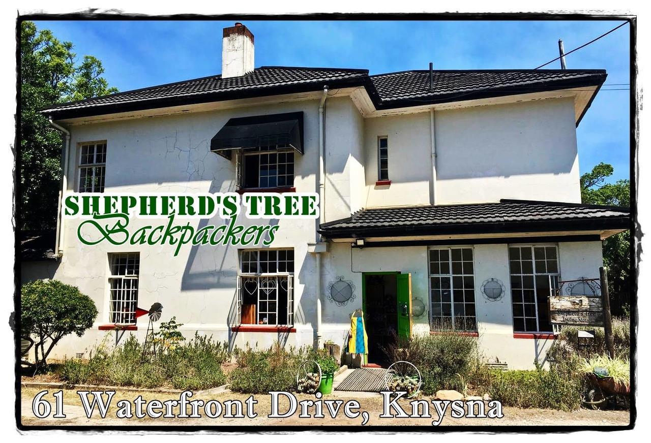 Shepherd'S Tree Backpackers Knysna Exterior foto