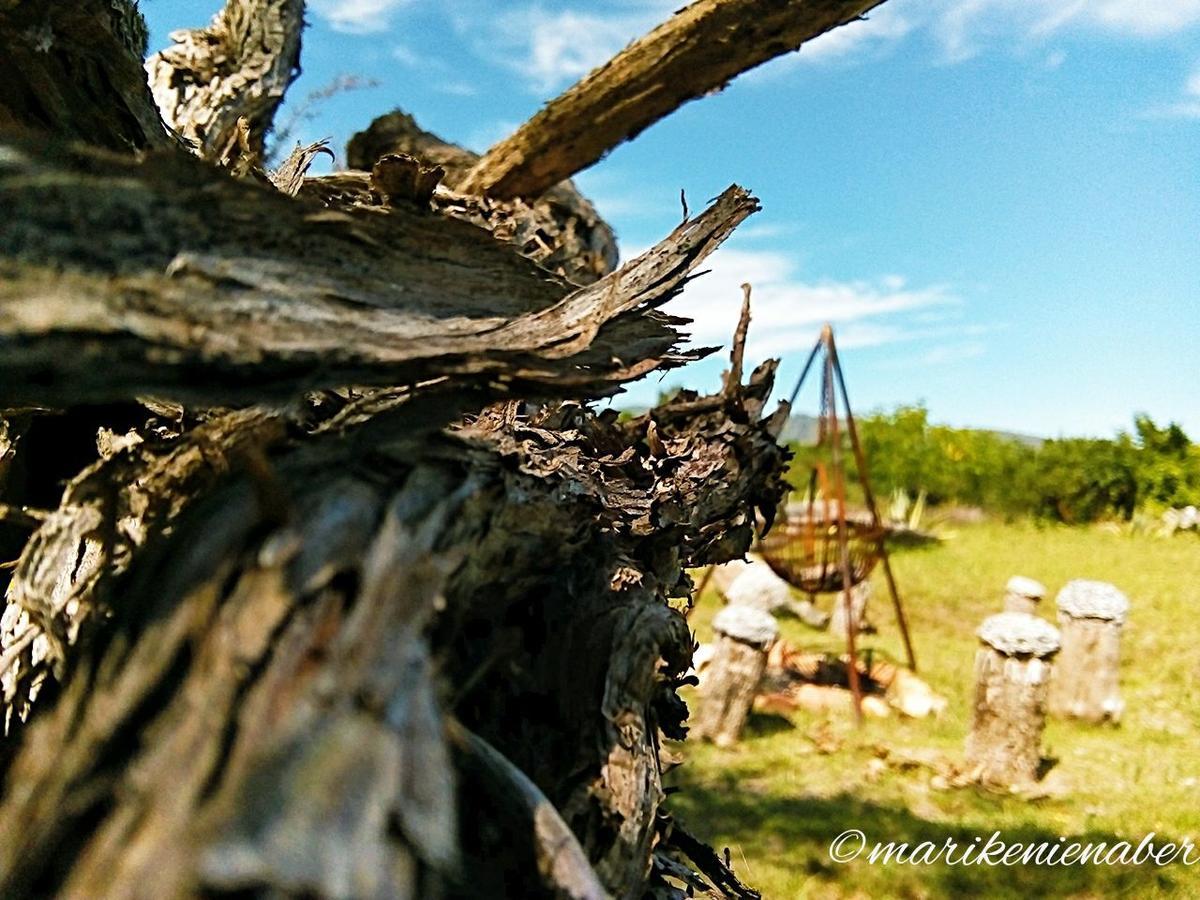 Shepherd'S Tree Backpackers Knysna Exterior foto