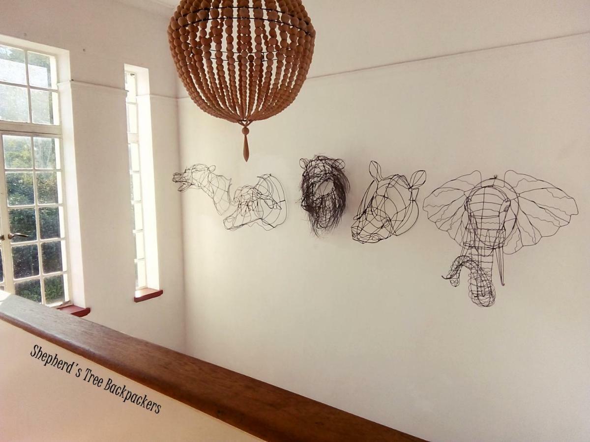 Shepherd'S Tree Backpackers Knysna Exterior foto