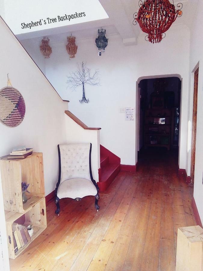 Shepherd'S Tree Backpackers Knysna Exterior foto