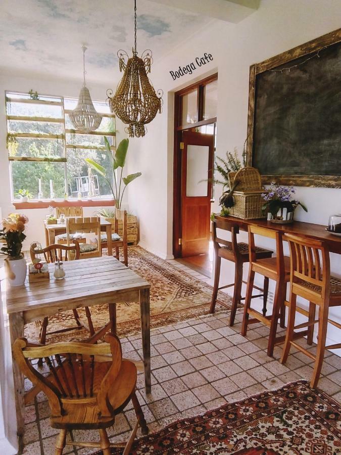 Shepherd'S Tree Backpackers Knysna Exterior foto
